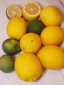 网红柠檬吃瓜,吃瓜界的清新代表 第2张 网红柠檬吃瓜,吃瓜界的清新代表 第2张