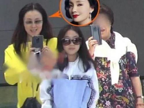 小陶虹二胎爆料视频全集,温馨家庭再添新成员